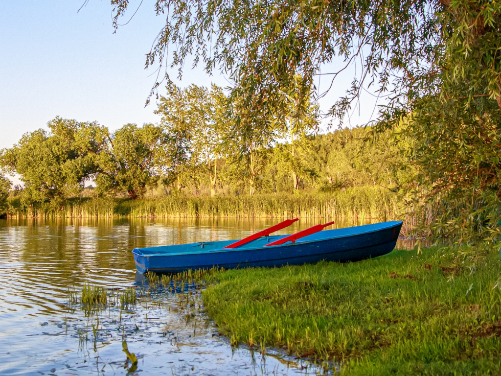 PAV_0221.jpg
