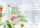 12 июля