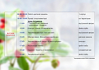 20 июля