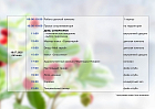 18 июля